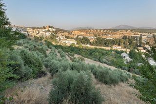 Solar en venta en Iznalloz