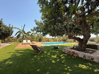 Casa rural en alquiler en Manacor Centro en Manacor