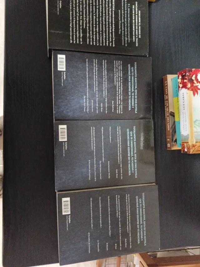 Grey («Cincuenta sombras» contada por Christian...