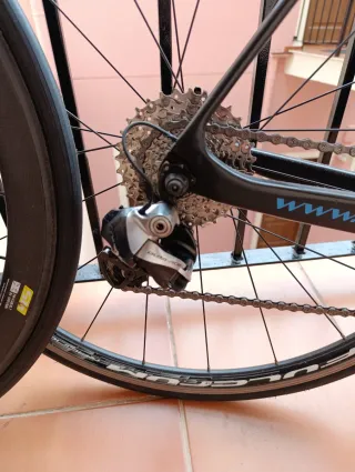 Bicicleta WOLFBIKE + Rodillo Bkool