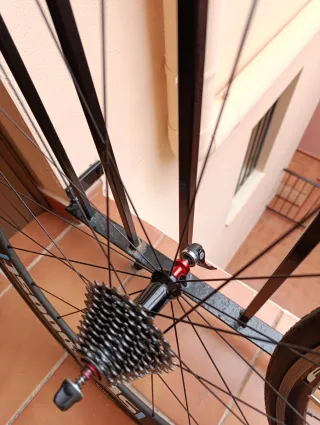 Bicicleta WOLFBIKE + Rodillo Bkool