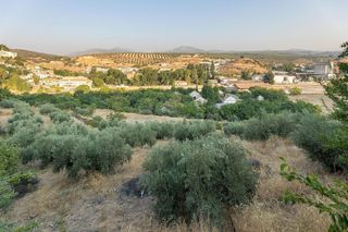 Solar en venta en Iznalloz