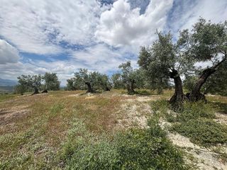 Terreno en venta en Torreperogil