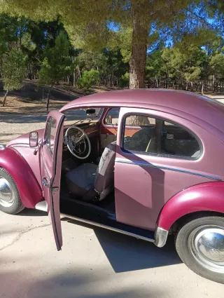ALQUILER COCHE CLASICO, VW ESCARABAJO. NAVARRA