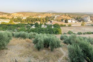 Solar en venta en Iznalloz