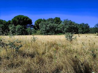 Solar en venta en Candeleda