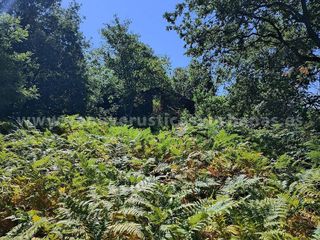 Solar en venta en Candeleda