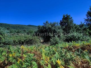 Solar en venta en Candeleda