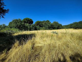 Solar en venta en Candeleda