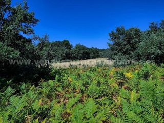 Solar en venta en Candeleda