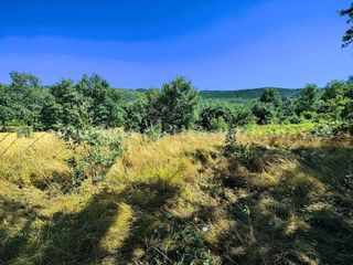 Solar en venta en Candeleda