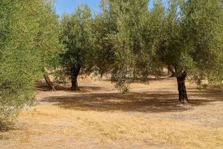 Terreno en venta en Priego de Córdoba