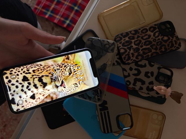 iPhone 11 Lila con 10 custodie!!!!!