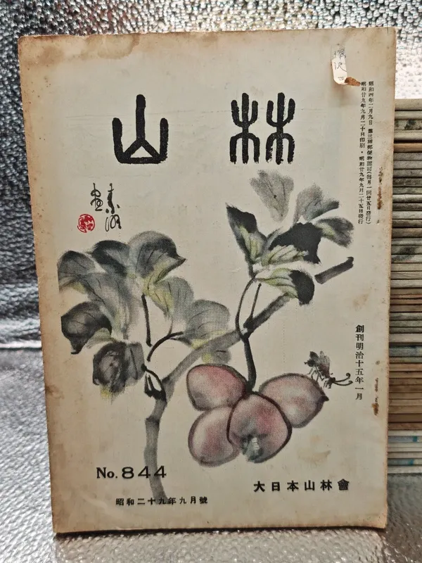 Lotto Rivista Giappone Yama to Rin Giappone 57 lib