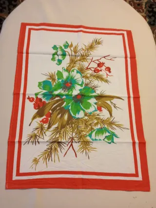 Set 5 strofinacci Cotone Multicolor