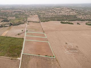 Terreno en venta en Sant Llorenç des Cardassar