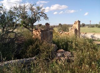 Solar en venta en Campos