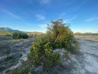 Solar en venta en Moratalla