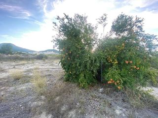 Solar en venta en Moratalla