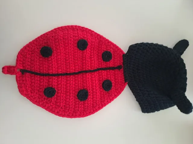 Ropa mariquita bebé