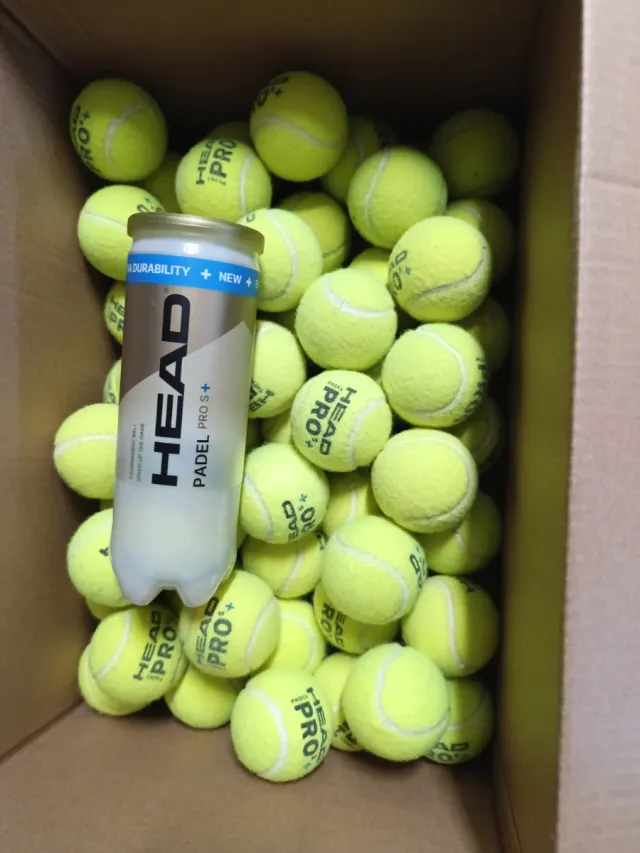55 Bolas HEAD Padel Pro+