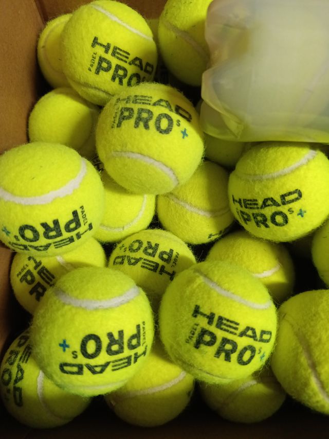 55 Bolas HEAD Padel Pro+