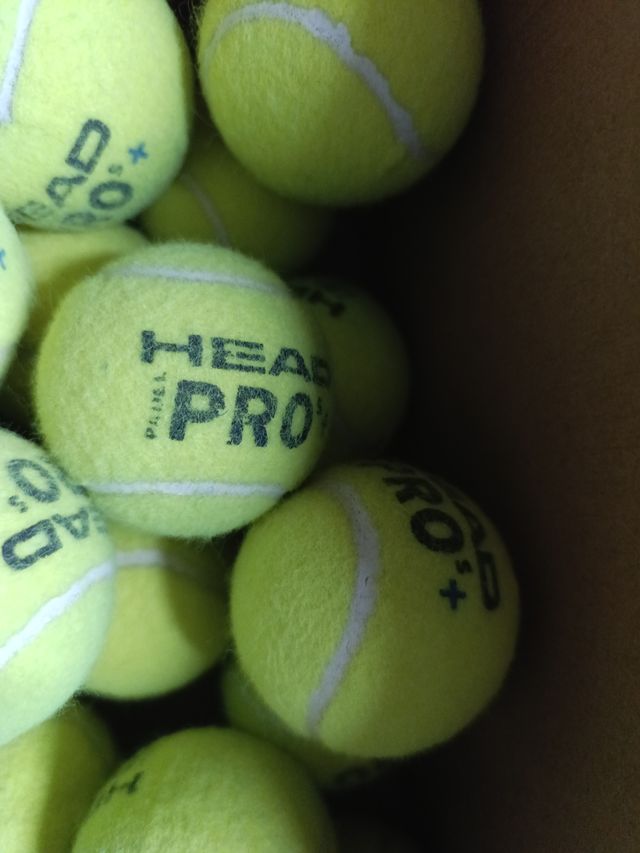 55 Bolas HEAD Padel Pro+