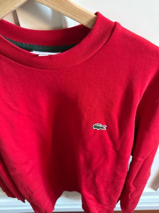 Jersey Lacoste Rojo