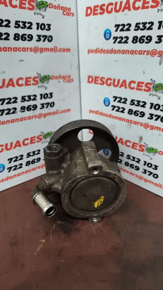 Bomba Dirección Hidráulica Peugeot/Citroen
