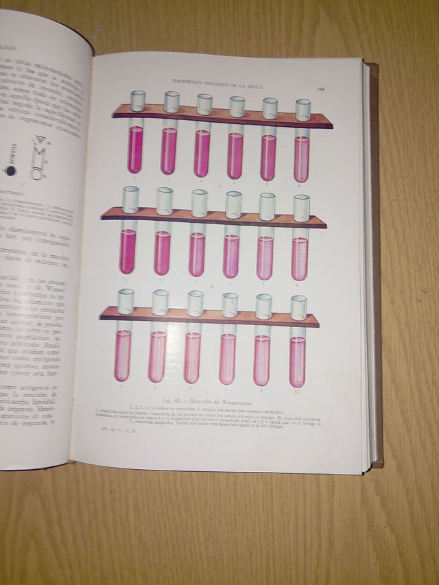 Dermatología y Venereología