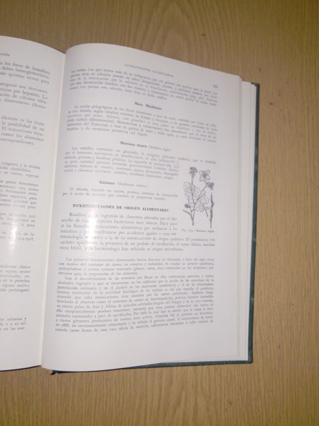 Patología y clínica médicas