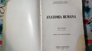 Anatomía Humana Tomo I y III. Orts Llorca.