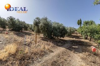 Terreno en venta en Montefrío