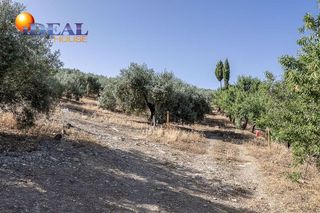 Terreno en venta en Montefrío