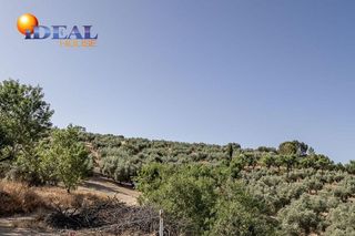 Terreno en venta en Montefrío