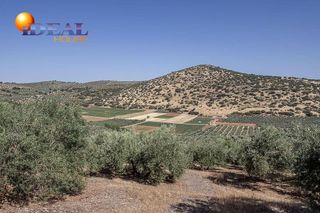 Terreno en venta en Montefrío