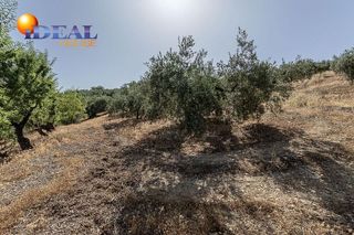 Terreno en venta en Montefrío