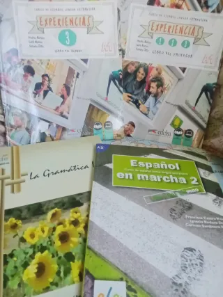 Clases de Español/ Spanish lessons