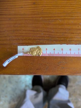 Colgante San Francisco Javier Oro