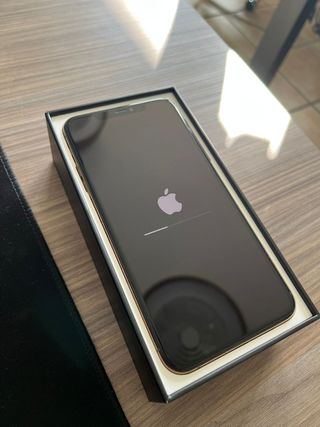 iPhone 11 Pro Max in oro rosa