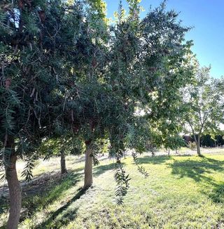 Terreno en venta en Don Benito