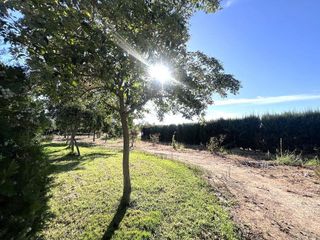 Terreno en venta en Don Benito