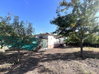 Terreno en venta en Don Benito