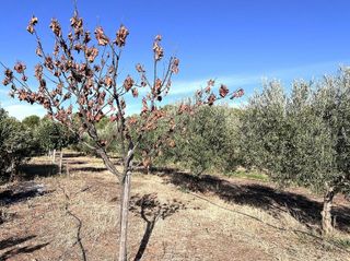 Terreno en venta en Don Benito