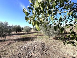 Terreno en venta en Don Benito