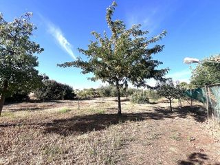 Terreno en venta en Don Benito