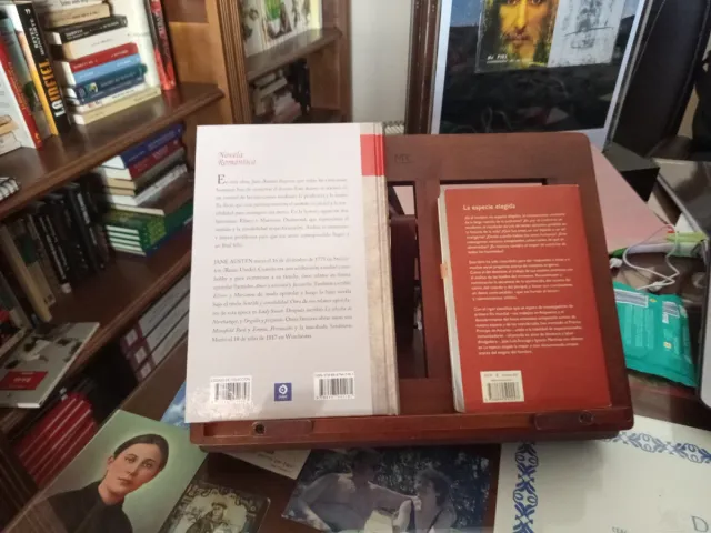 Sentido y sensibilidad y la especie elegida