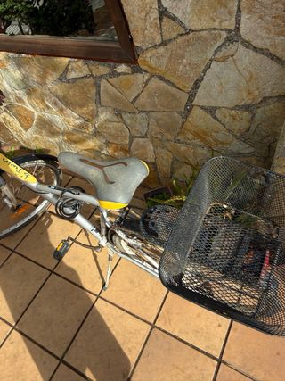 Bicicleta Paseo Adulto Plata
