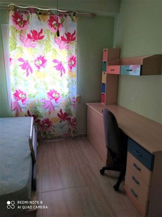 Piso en alquiler en Alcalde Felipe Mallol en San Vicente del Raspeig/Sant Vicent del Raspeig