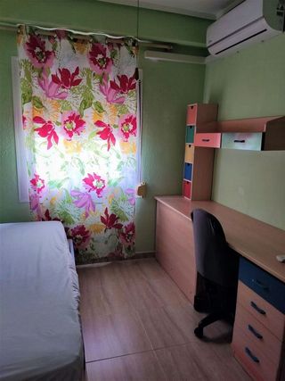 Piso en alquiler en Alcalde Felipe Mallol en San Vicente del Raspeig/Sant Vicent del Raspeig